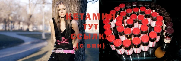 прущие грибы Алексеевка